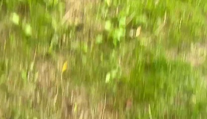 Cheating wife into the woods, he have my load inside him