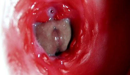 Big orgasm inside the anus! Fantastic moaning orgasm and a lot of sperm!