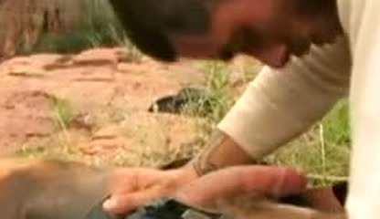 cowboy flick need name of movie